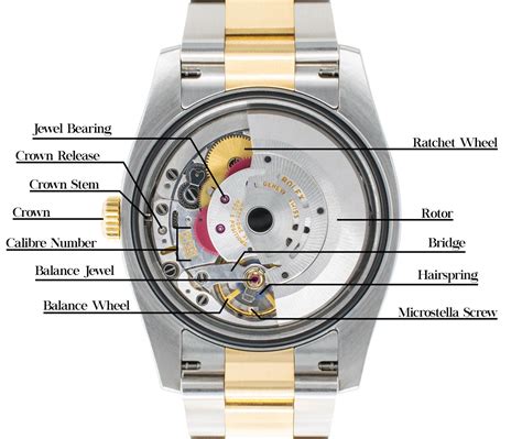 rolex datejust movement info|Rolex Datejust model numbers.